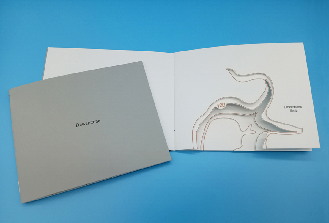 Dewerstone   - David Howes