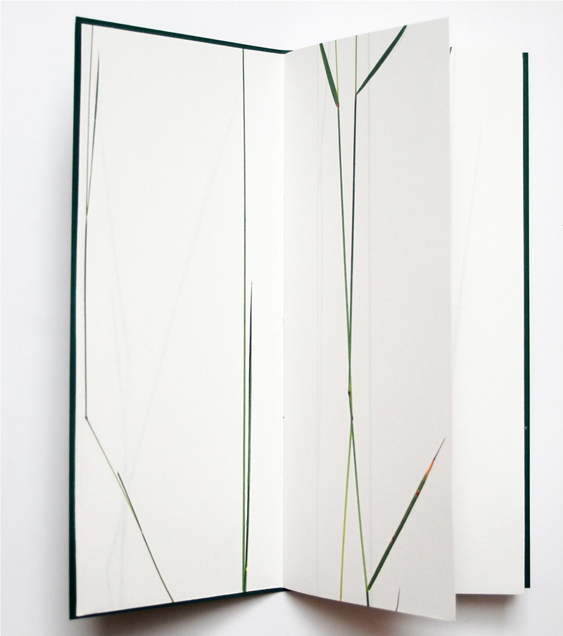 STEM   - Helen Douglas