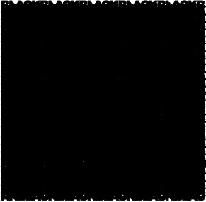 BLACK ON BLACK  by Jane Grisewood