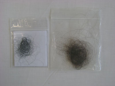 hair lines by Manya Do&ntilde;aque