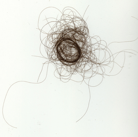 Hair lines  by Manya Do&ntilde;aque