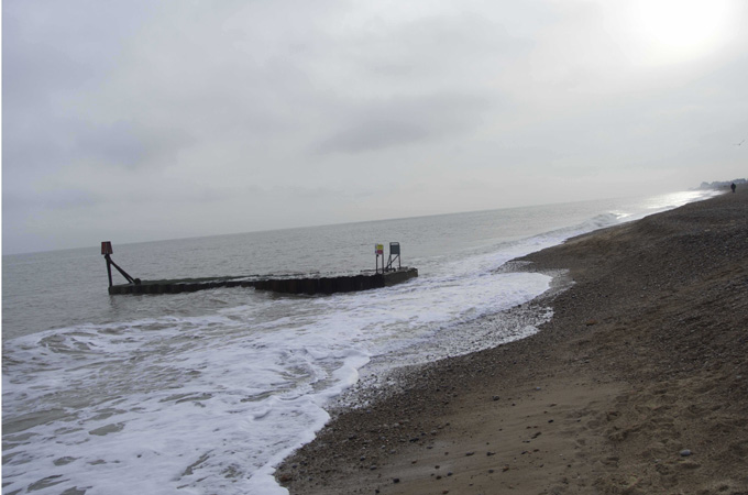 Forest: Concrete: Sea  by Judy Goldhill