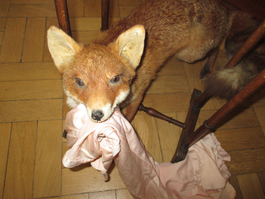 FOX & WEDGE  by Sharon Kivland